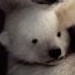 Image de profil de shun