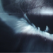 Image de profil de lyod