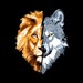 Image de profil de petitlion1075