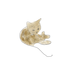 Image de profil de smallbug