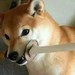 Image de profil de heviart