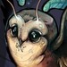 Image de profil de lunidae