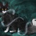 Image de profil de theartoftheghost