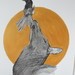 Image de profil de lescuyer