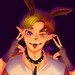 Image de profil de neilyawis