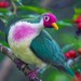 Image de profil de gwan