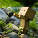 Image de profil de pierrechaize
