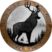 Image de profil de aes-sidhe