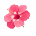 Image de profil de administrationpawlkryl