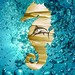 Image de profil de bruscain83