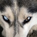 Image de profil de cindy.b