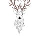 Image de profil de deerofire