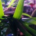 Image de profil de kef