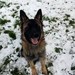 Image de profil de sayia