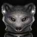 Image de profil de wouwou