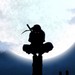 Image de profil de nokillno.drpt