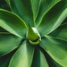 Image de profil de testtom2026666