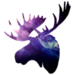 Image de profil de thibaultchoner
