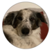 Image de profil de marie_s