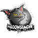 Image de profil de meoow