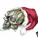 Image de profil de florianrzw