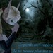Image de profil de elmyaebloodedge