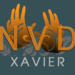 Image de profil de nvdxavier