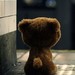 Image de profil de nounours
