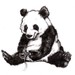 Image de profil de pandageek