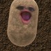 Image de profil de niki5