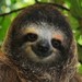 Image de profil de symaros
