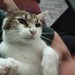 Image de profil de orel_ark