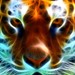 Image de profil de shiro33
