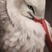 Image de profil de neda