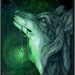 Image de profil de ayfeeling