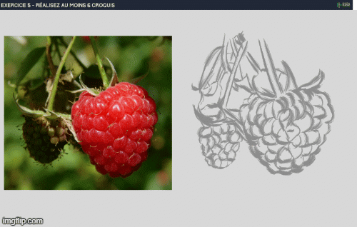 framboise-5e6faa33.gif