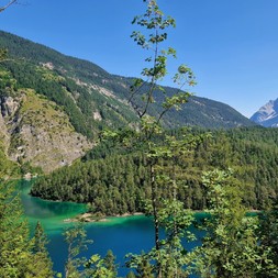 Angélique