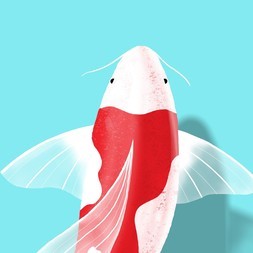 Nishikigoï
