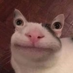 Sébastien D'Agostin