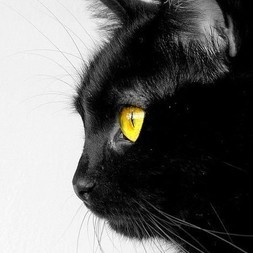 catana