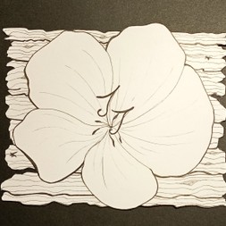 joreineji