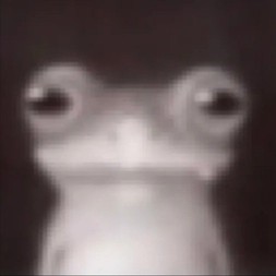 hcmoel