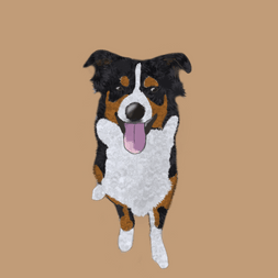 Alfy