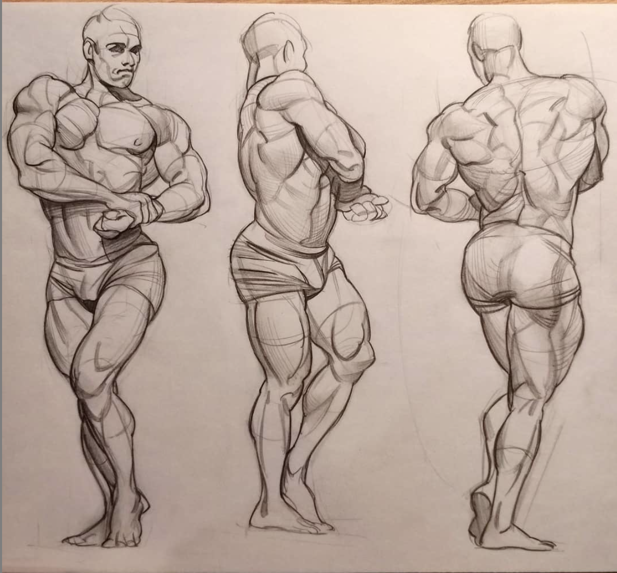 sketch anatomie