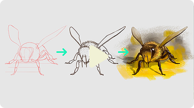 Chapitre 6 - Objets complexes