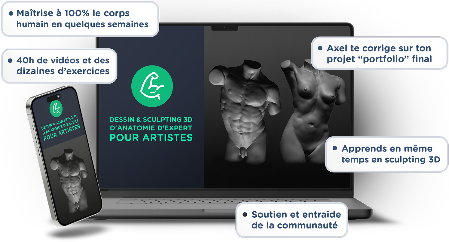 Formation digital painting anatomie