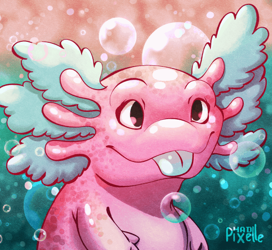 Petit Axolotl par Mad Pixelle