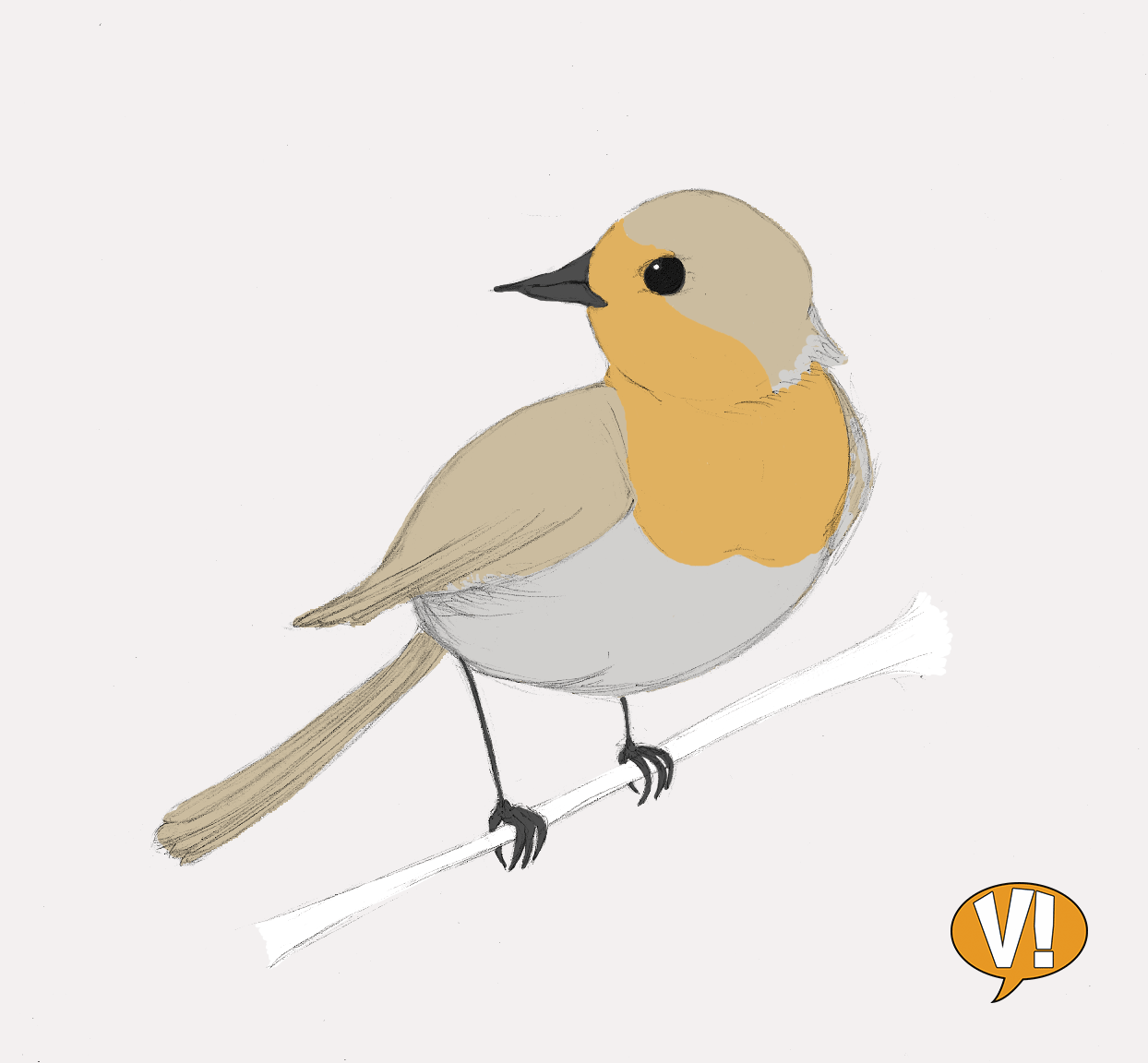 Rougegorges2 par vincent langrand