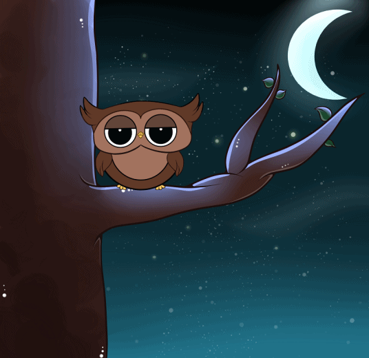 Animation hibou par ali