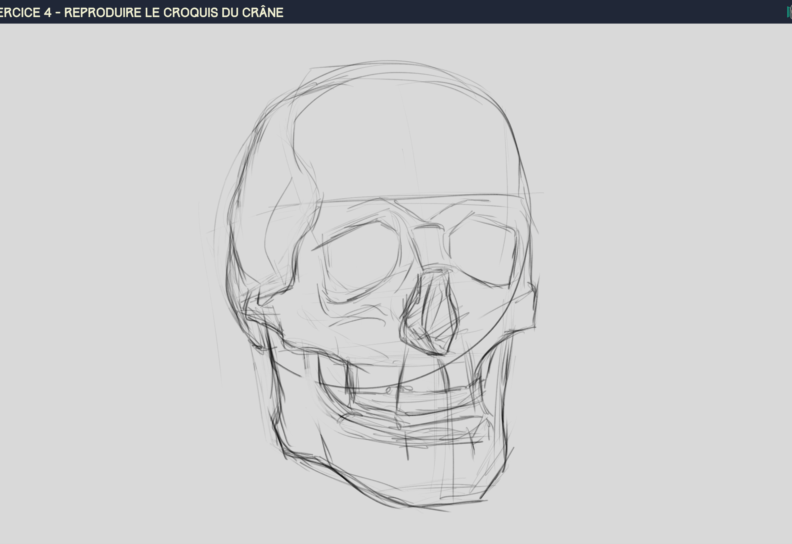 Croquis du Crâne par Razaskiel